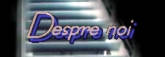 Despre noi